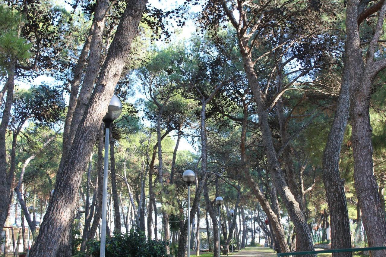 La Pigna Bed & Breakfast Ruvo di Puglia Luaran gambar